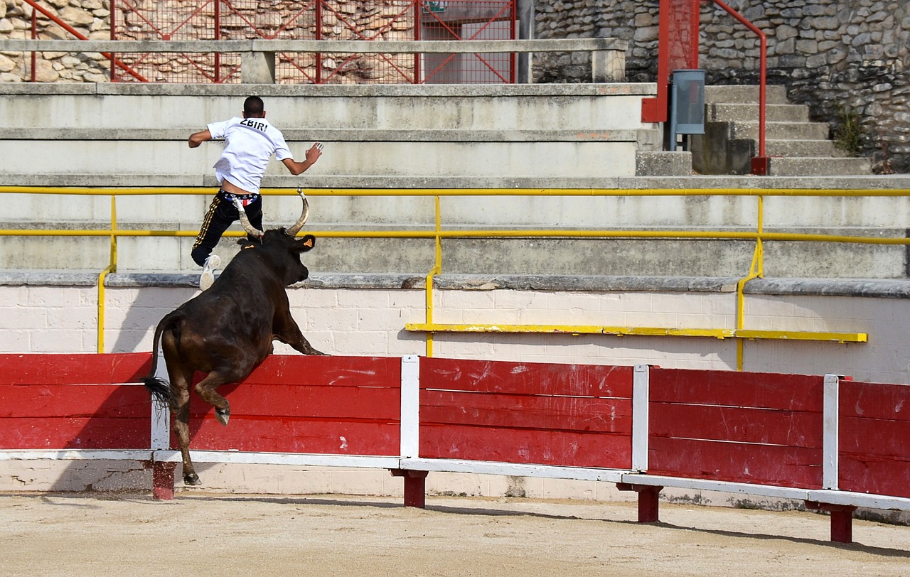 区域站位